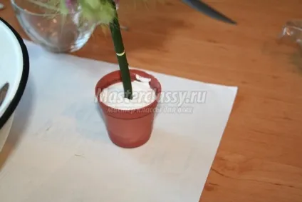 Топиарий з лагурус