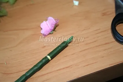 Топиарий з лагурус