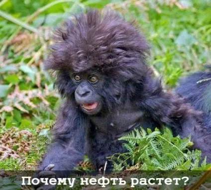 Трейдинг з нуля або як почати новачкові на nyse (nyse) Трейдинг з нуля або як почати новачкові на nyse