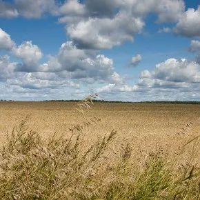 Три складових якісної фотографії (фотографії) Три складових якісної фотографії