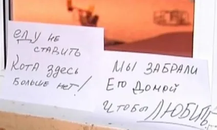 Зворушливі історії про справжніх вчинках (добрі справи) Зворушливі історії про справжніх вчинках
