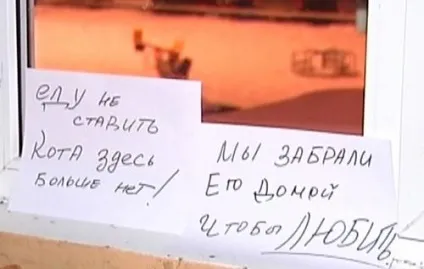 Зворушливі історії про справжніх вчинках (безкорисливість) Зворушливі історії про справжніх вчинках