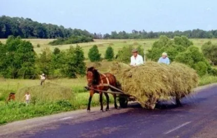 Три доби по селах України