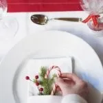 Прикраса і сервіровка новорічного столу 2017 - фото, поради (сервіровка новорічного столу) Прикраса і сервіровка новорічного столу 2017 - фото, поради