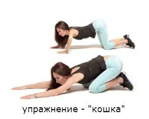 Вправи для фігури типу перевернутий трикутник (типу) Вправи для фігури типу перевернутий трикутник