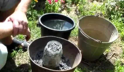 Добриво для кабачків, городник