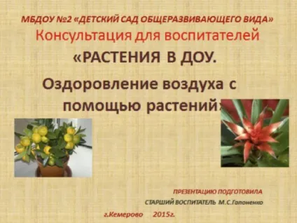 Куточки природи в доу - дитина в дитячому садку