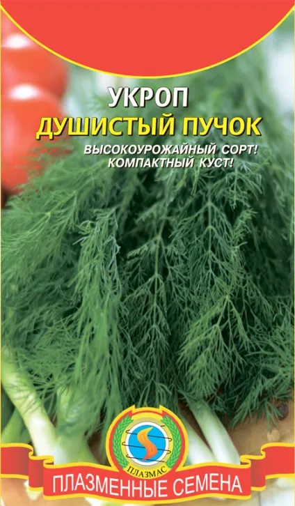 Кріп запашний пучок