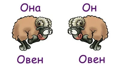 Дізнайтеся про сумісність в любовних відносинах барана і барана (відносинах) Дізнайтеся про сумісність в любовних відносинах барана і барана
