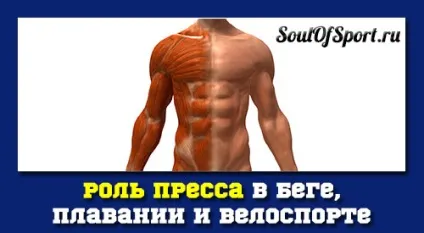Чи важливий прес для бігу, плавання і велоспорту