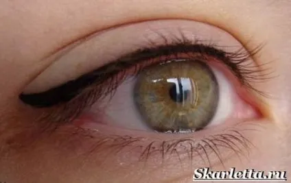 Догляд за століттями