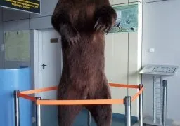 Анадир, Чукотка, 2015