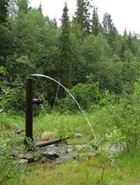 Вигадки і правда про воду, яку можна вживати без шкоди людському організму група (воду можна пити) Вигадки і правда про воду, яку можна вживати без шкоди людському організму група