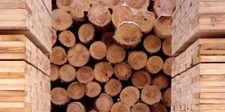 Вибір матеріалу для дерев'яного будинку огляд технологій будівництва (огляд) Вибір матеріалу для дерев'яного будинку огляд технологій будівництва