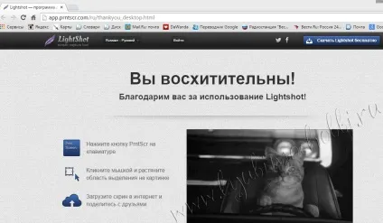 Викрійки для квітів зі шкіри своїми руками, блог натальи Гуцалюк (шкіри) Викрійки для квітів зі шкіри своїми руками, блог натальи Гуцалюк