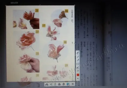 Викрійки для квітів зі шкіри своїми руками, блог натальи Гуцалюк (шкіри) Викрійки для квітів зі шкіри своїми руками, блог натальи Гуцалюк