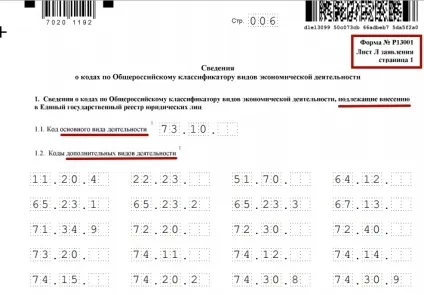 Види діяльності в статуті ооо