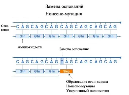 Вид, його критерії та структура, student guru (критерії виду) Вид, його критерії та структура, student guru