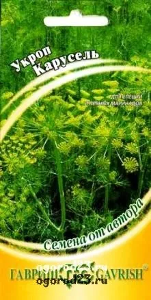 Вирощування кропу - посадка, сорти, хвороби (сорти) Вирощування кропу - посадка, сорти, хвороби