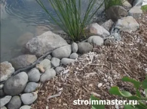 Водойма-ставок на дачі з рибами своїми руками крок за кроком (руками) Водойма-ставок на дачі з рибами своїми руками крок за кроком