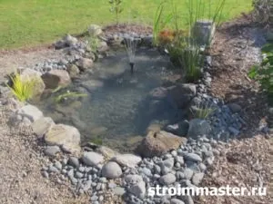 Водойма-ставок на дачі з рибами своїми руками крок за кроком (рибами) Водойма-ставок на дачі з рибами своїми руками крок за кроком
