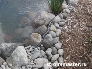 Водойма-ставок на дачі з рибами своїми руками крок за кроком (своїми) Водойма-ставок на дачі з рибами своїми руками крок за кроком