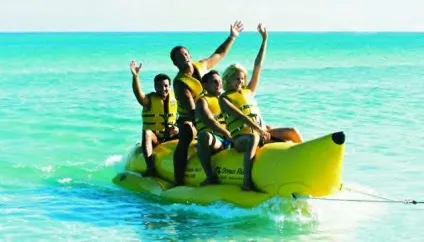 Водні банани від аттро - види і розміри (види) Водні банани від аттро - види і розміри