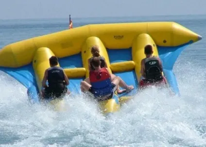 Водні банани від аттро - види і розміри (водні) Водні банани від аттро - види і розміри