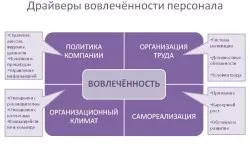 Залученість персоналу як виховати прихильність і не дозволити планці опуститися, розрахунок (дозволити) Залученість персоналу як виховати прихильність і не дозволити планці опуститися, розрахунок