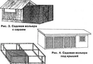 Вольєр для павичів своїми руками фото (руками) Вольєр для павичів своїми руками фото