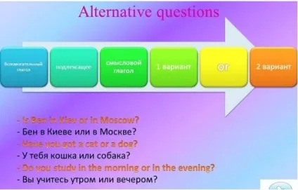 Питальні речення в англійській мові - всі види з прикладами