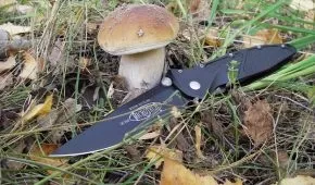Другі страви з грибами рецепти (грибами) Другі страви з грибами рецепти