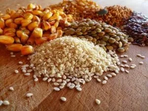 Все про премікси для курчат бройлерів що це, навіщо вони потрібні і які краще давати (бройлерів) Все про премікси для курчат бройлерів що це, навіщо вони потрібні і які краще давати