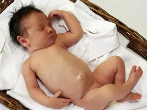 Все про пуповині, shape mama