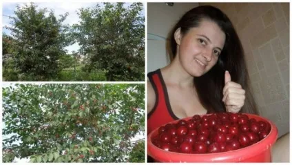 Все найкорисніше, вирощене своїми руками! (Руками) Все найкорисніше, вирощене своїми руками!