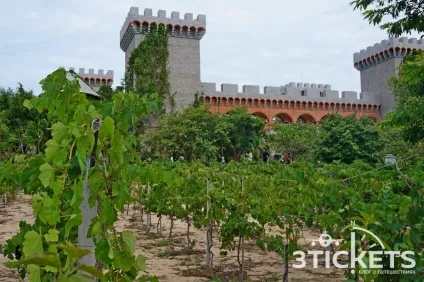 Всі пам'ятки Муйне і Фантьета фото, карта і наші відгуки (Муйне) Всі пам'ятки Муйне і Фантьета фото, карта і наші відгуки