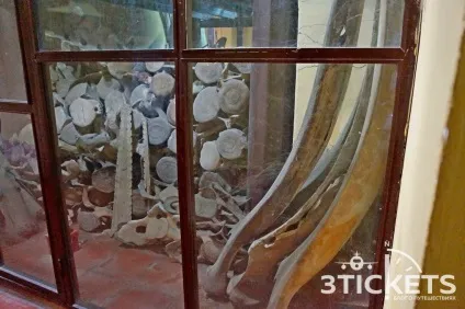 Всі пам'ятки Муйне і Фантьета фото, карта і наші відгуки (фото) Всі пам'ятки Муйне і Фантьета фото, карта і наші відгуки