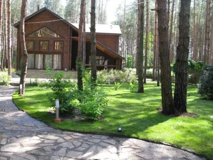Яскраві фарби соснового лісу - brechkodesign