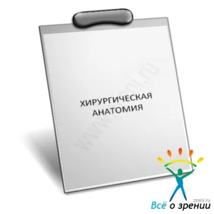 хірургічна анатомія