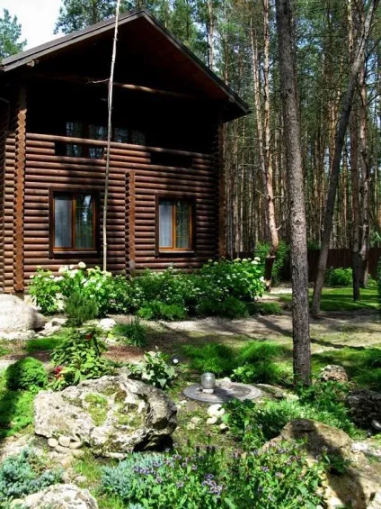 Яскраві фарби соснового лісу - brechkodesign