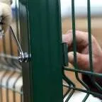 Зварна сітки своїми руками покрокова інструкція, фото і відео (використовувати) Зварна сітки своїми руками покрокова інструкція, фото і відео