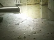 Замовити послуги вирівнювання статі в квартирі або будинку (квартирі) Замовити послуги вирівнювання статі в квартирі або будинку