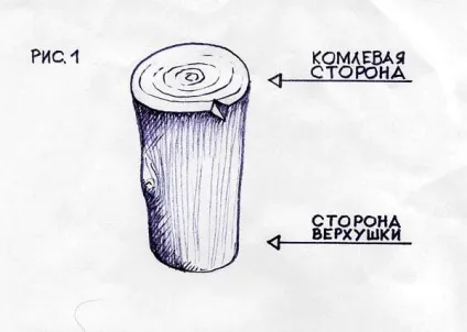 Заготівля і сушка деревини Заготівля і сушка деревини