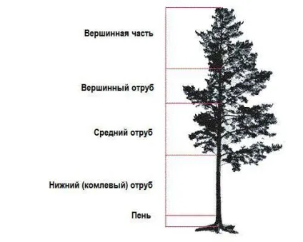 Заготівля і зберігання деревини для будівництва, gidproekt (заготівля) Заготівля і зберігання деревини для будівництва, gidproekt