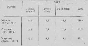 Зелена земля картопля крохмаль в картоплі (крохмаль в картоплі) Зелена земля картопля крохмаль в картоплі