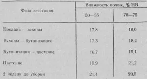 Зелена земля картопля крохмаль в картоплі (картоплі) Зелена земля картопля крохмаль в картоплі
