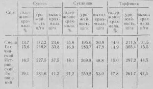 Зелена земля картопля крохмаль в картоплі (крохмаль в картоплі) Зелена земля картопля крохмаль в картоплі