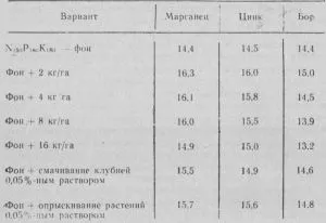 Зелена земля картопля крохмаль в картоплі (крохмаль в картоплі) Зелена земля картопля крохмаль в картоплі