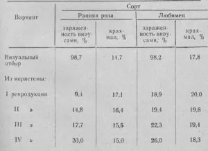 Зелена земля картопля крохмаль в картоплі (крохмаль) Зелена земля картопля крохмаль в картоплі