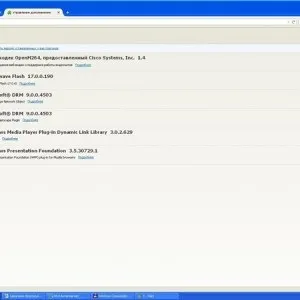 Зависає firefox - через flash плагіна, чому, висне mozilla, постійно (зависає) Зависає firefox - через flash плагіна, чому, висне mozilla, постійно